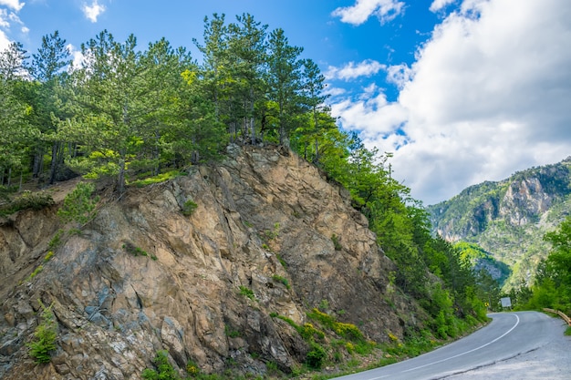 Une route pittoresque traverse les montagnes et les canyons du Monténégro.