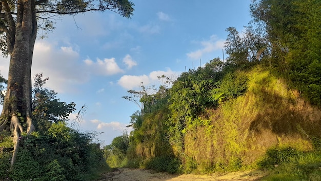 La route de la plage