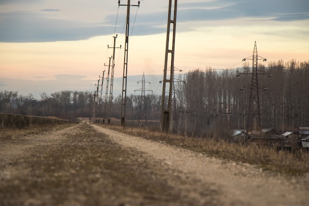 Route de la poussière à la forêt