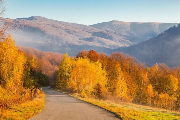 Route près d'un arbre aux feuilles d'automne jaunes sur fond de montagnes Saison d'automne