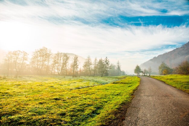 Route près de la clairière verte beau ciel léger brouillard