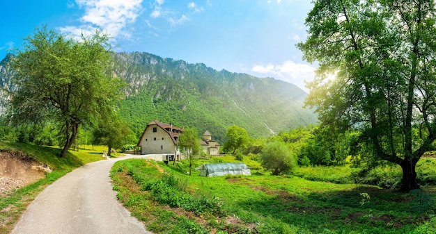 Route près du monastère Dobrilovina