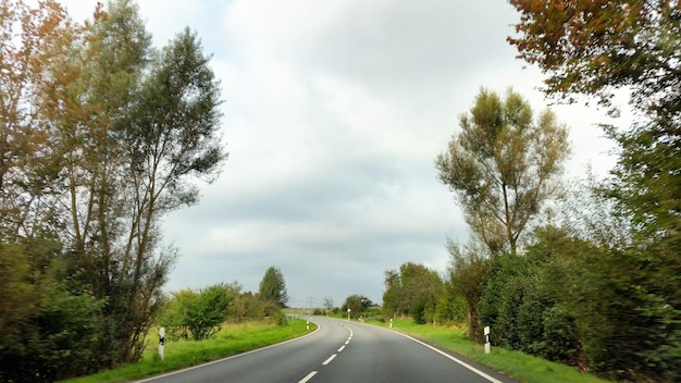 Une route qui passe à travers les arbres