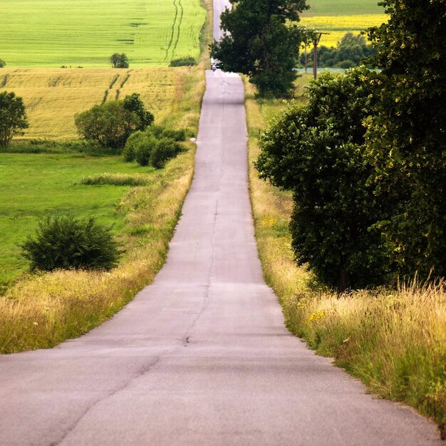 Photo route qui traverse un champ