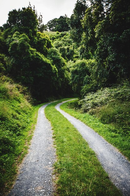 Photo route qui traverse le paysage