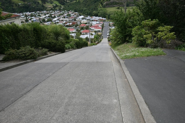 La route résidentielle la plus raide du monde Baldwin Street Dunedin ile sud Nouvelle Zelande