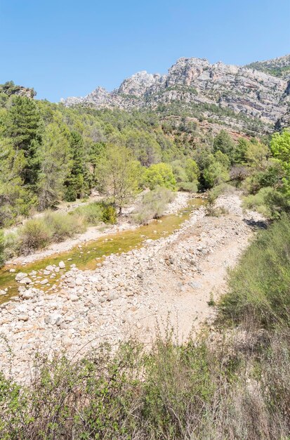 Route de la rivière Borosa dans le parc naturel Sierra de Cazorla Segura et Las Villas