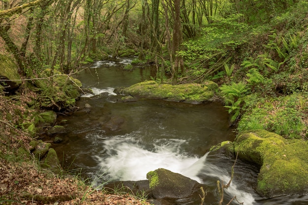 Route de la rivière Mendo en Galice, Espagne