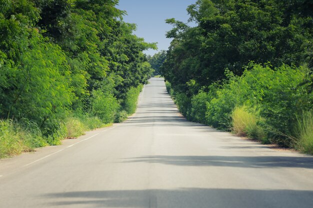 Photo route rurale avec des arbres.