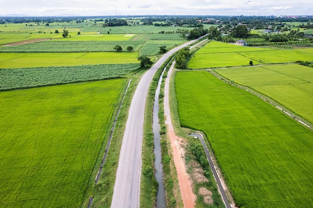 Route rurale et canal à travers une rizière en campagne