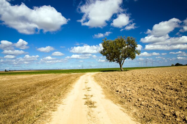 Route rurale dans l'année de l'heure d'été