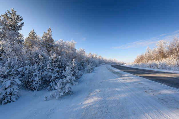 Route rurale d'hiver en Sibérie couverte de neige.