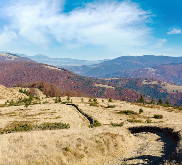 Route rurale en montagne d'automne et arbres colorés sur les pentes