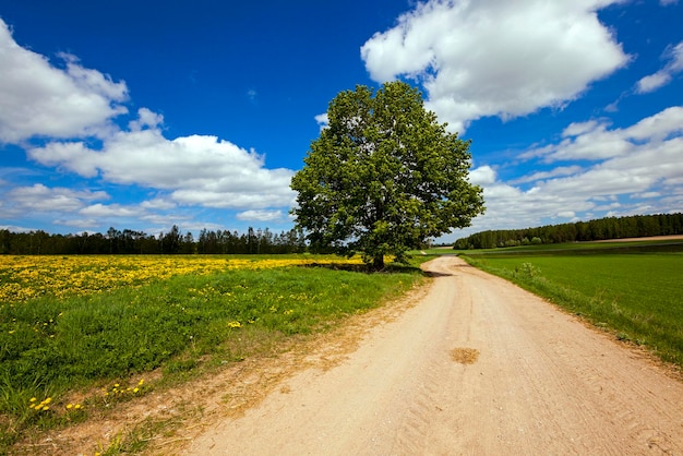 La route rurale