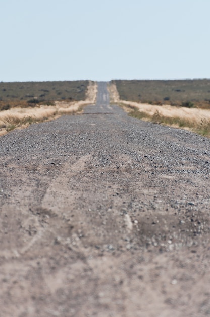 route sans fin en Argentine Patagonie