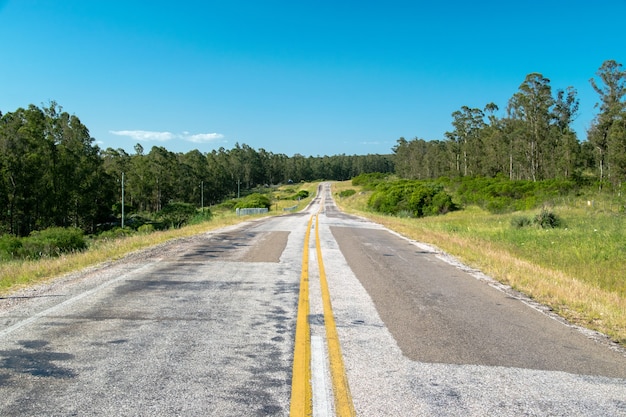 Une route sans personnes au milieu des champs ruraux de Lavalleja en Uruguay.