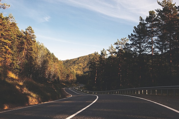 Route sauvage vers la liberté