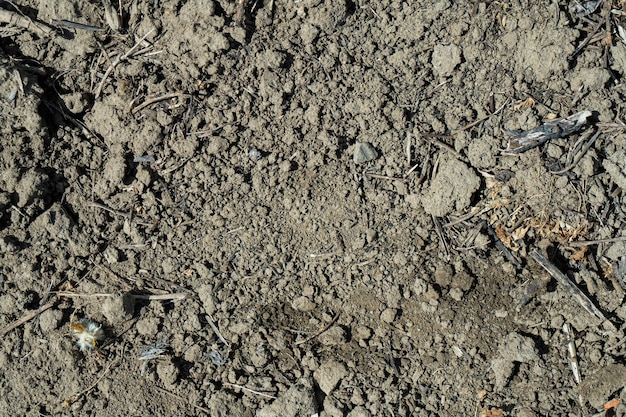 Route sèche avec du sable de terre et des cailloux de petites pierres