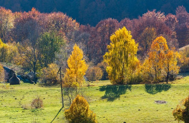 Route secondaire sale en automne montagne des Carpates Ukraine