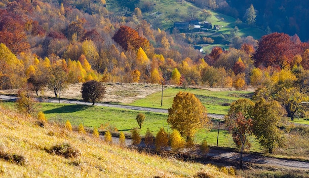 Route secondaire sale en automne montagne des Carpates Ukraine