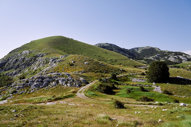 La route serpente à travers des montagnes rocheuses couvertes de verdure