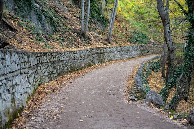 Route sinueuse dans le paysage d'automne