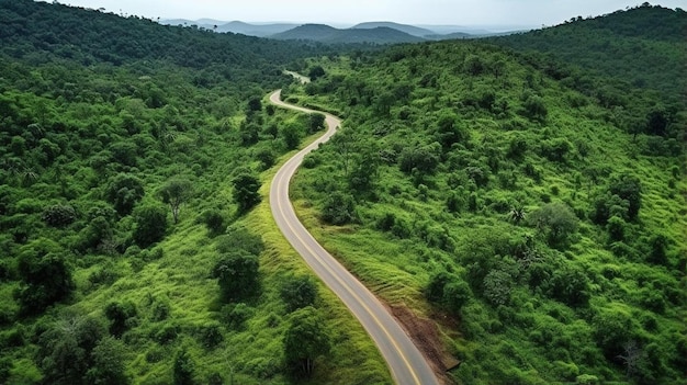 une route sinueuse avec une route sinule à travers la forêt