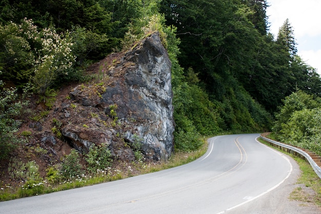 Route sinueuse se penchant autour d&#39;un coin rocheux avec des arbres