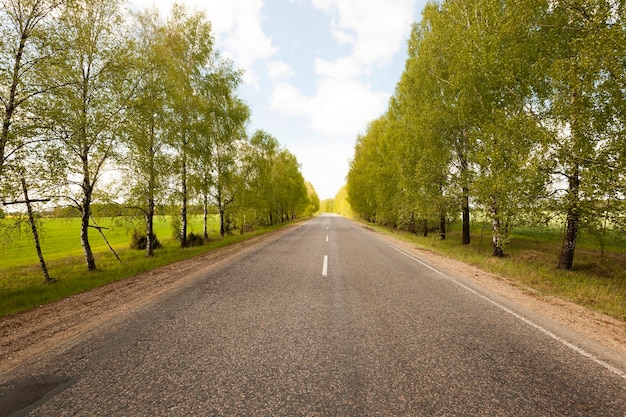 Route, située à la campagne au printemps