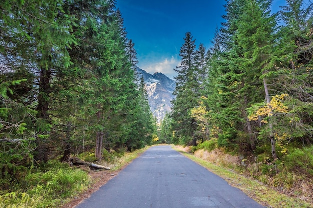 Route sombre menant aux montagnes à l'automne