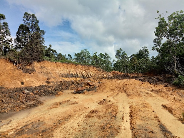 Photo une route de terre au milieu des arbres sur le champ contre le ciel.