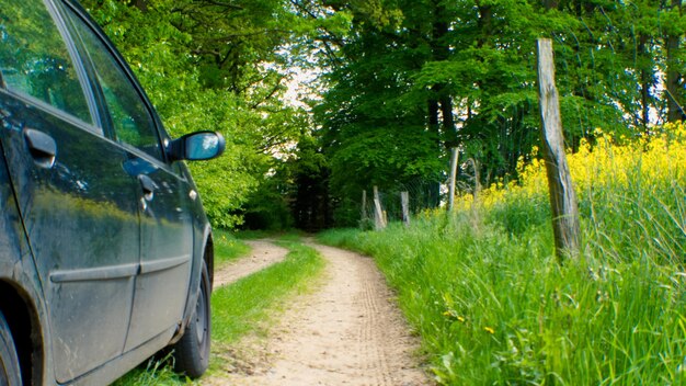 Photo une route de terre au milieu des arbres sur le champ.