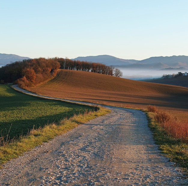 Photo une route de terre au milieu d'un champ contre le ciel