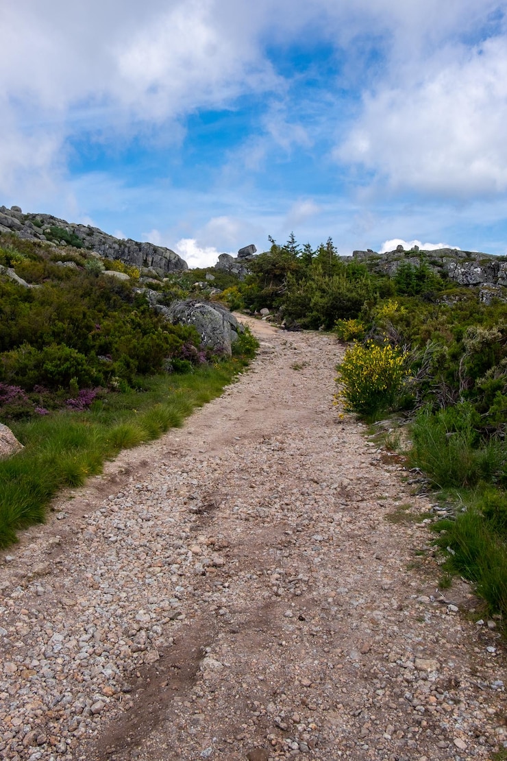 Photo route de terre le long du paysage contre le ciel