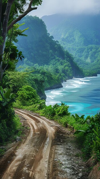 Une route de terre près de l'océan