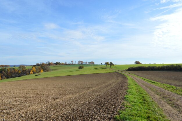 Photo route de terre qui traverse un champ