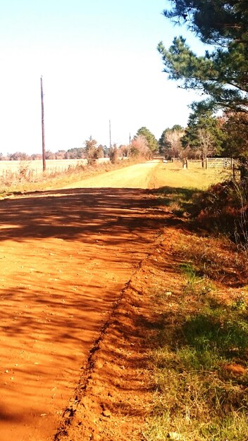 Photo une route en terre qui traverse un champ