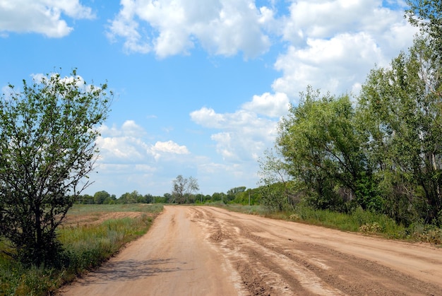 Route de terre rurale traversant un bois