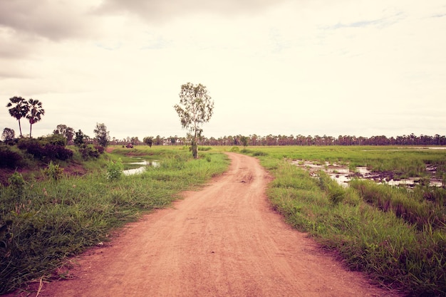 route de terre rurale en zone urbaine en thaïlande