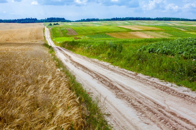 Route terrestre et champs de récolte