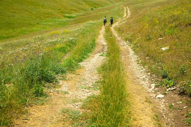 Route terrestre dans la nature Arménie Été