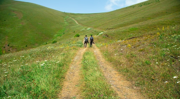 Route terrestre dans la nature Arménie Été