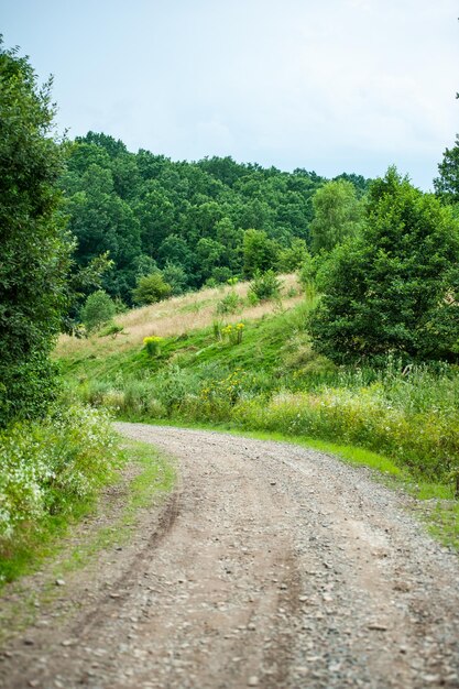 Route à travers la forêt