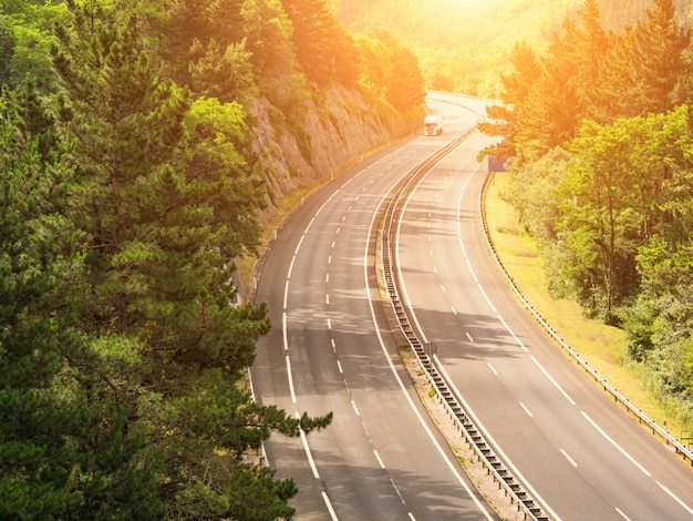 Route traversant un paysage forestier