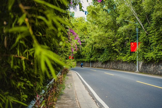 Route tropicale avec drapeau chinois