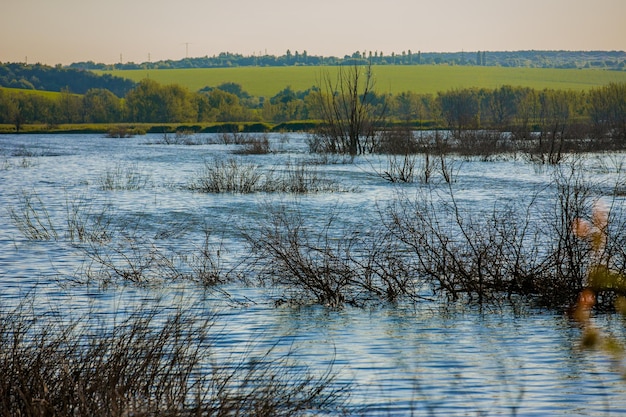 La route de la vallée de la mort est inondée en raison d'un violent orage inhabituel avec de la pluie