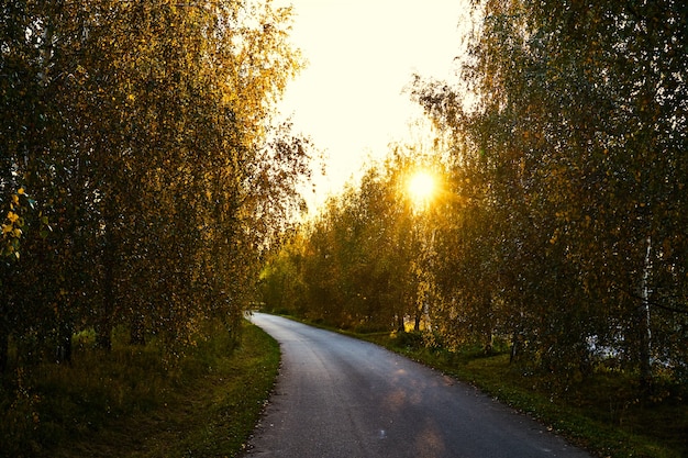 Route vers le coucher du soleil