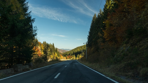 Une route vers la nature