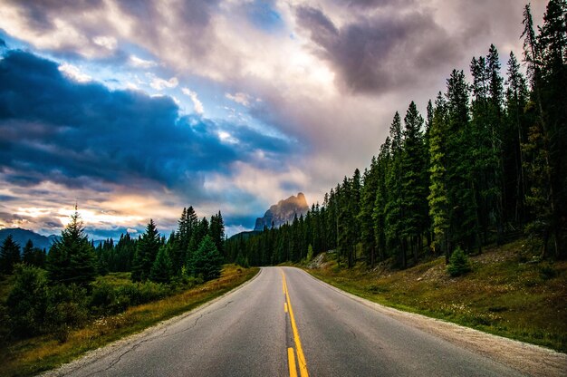 Photo une route vide au milieu des arbres contre un ciel nuageux au coucher du soleil