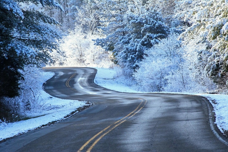 Photo une route vide au milieu des arbres en hiver